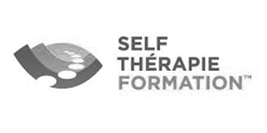 SELF THERAPIE FORMATION - Le modèle Intelligence Relationnelle